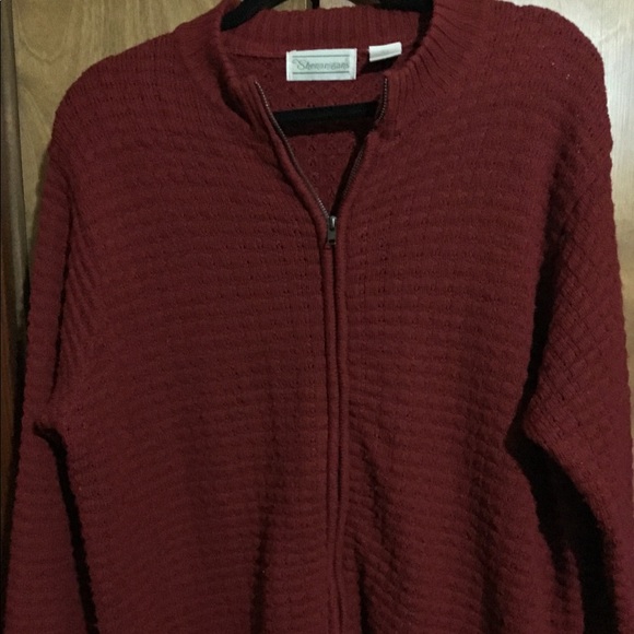 Shenanigains Sweaters - 👚(bundle 4 items w/👚for $16) long sleeve zippered sweater